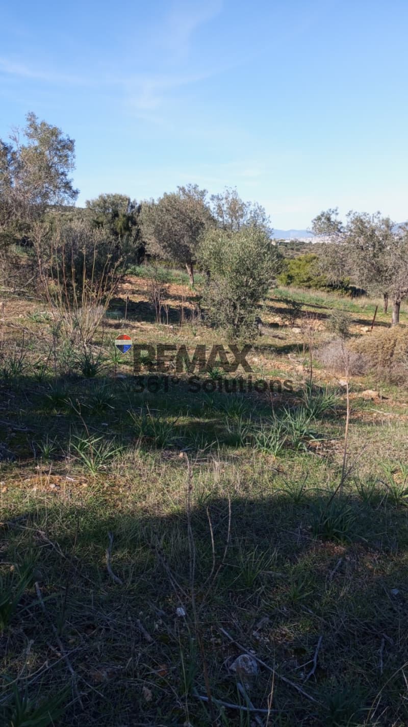 Building Plot in Agia Marina, Paiania — Photo 3 of 5