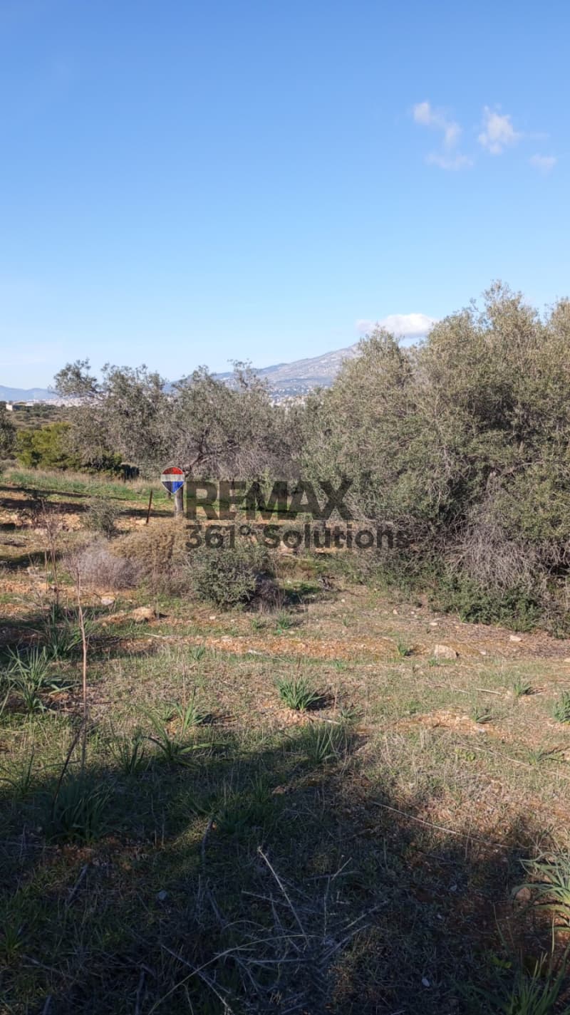 Building Plot in Agia Marina, Paiania — Photo 2 of 5