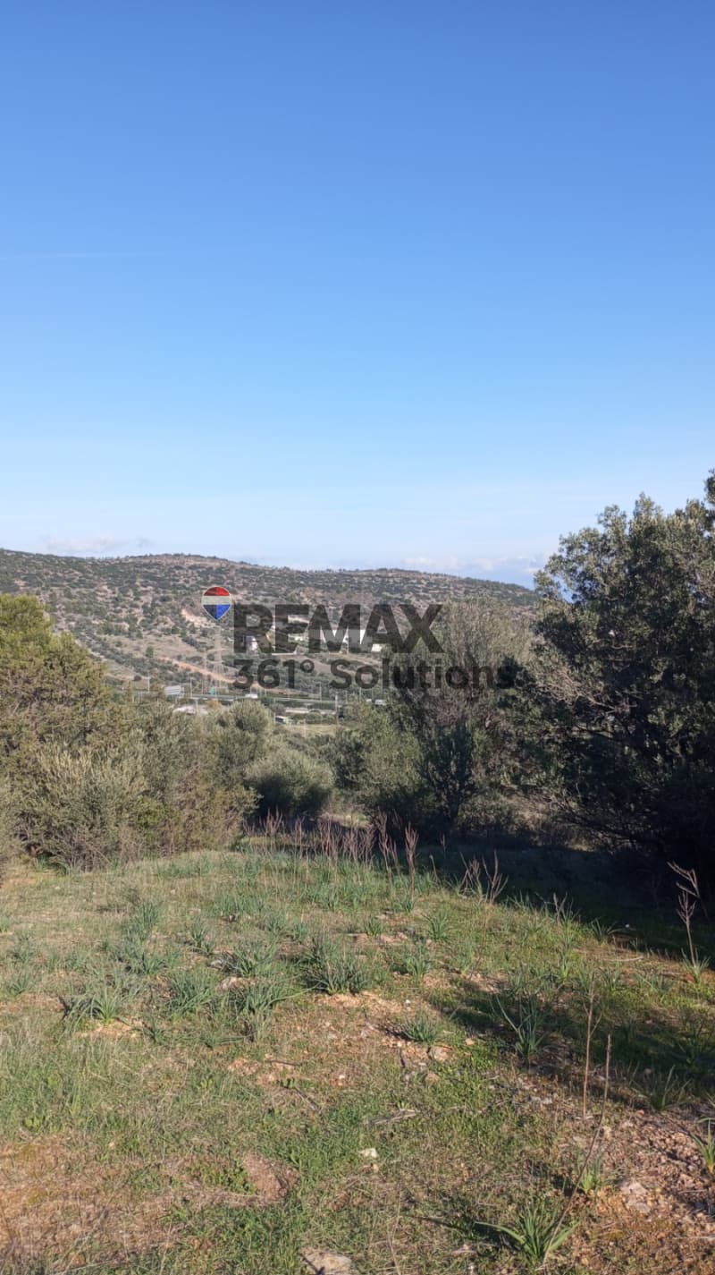Building Plot in Agia Marina, Paiania — Photo 1 of 5