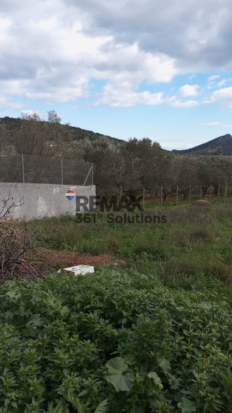 Parcel in Center, Markopoulo — Photo 4 of 5