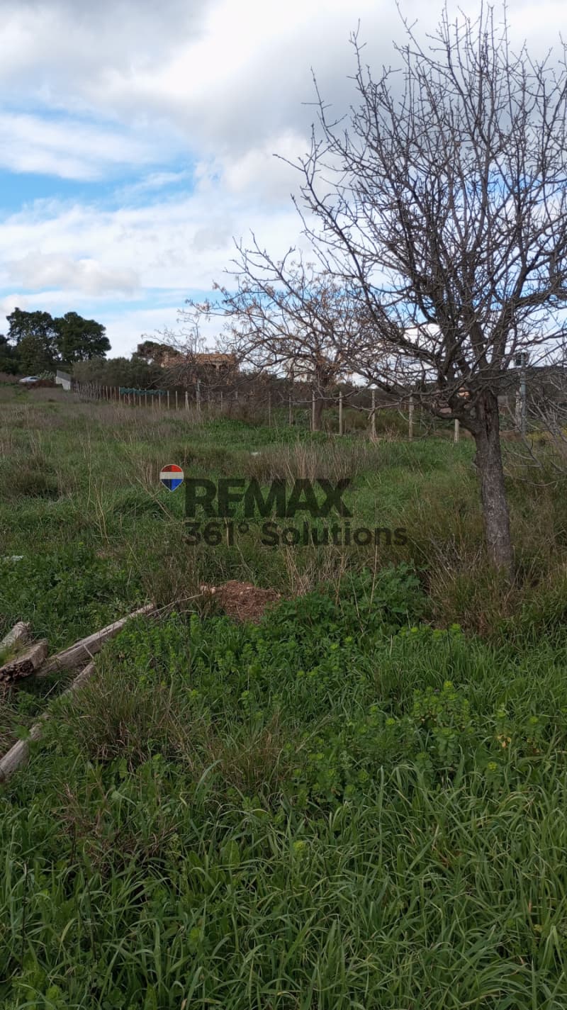 Parcel in Center, Markopoulo — Photo 1 of 5