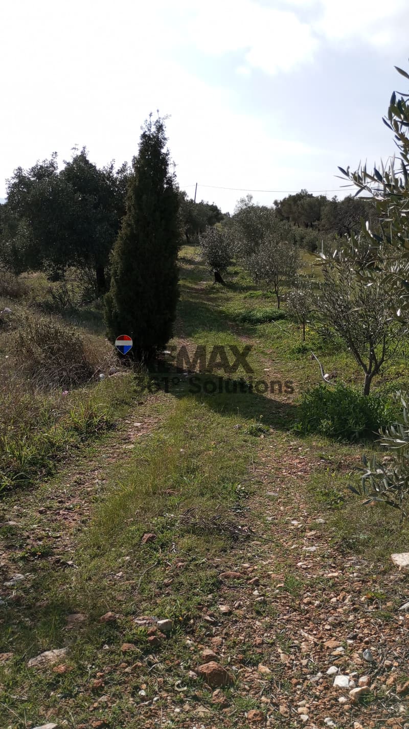 Αγροτεμάχιο στην Μουσείο Βορρέ, Παιανία — Φωτογραφία 2 από 6