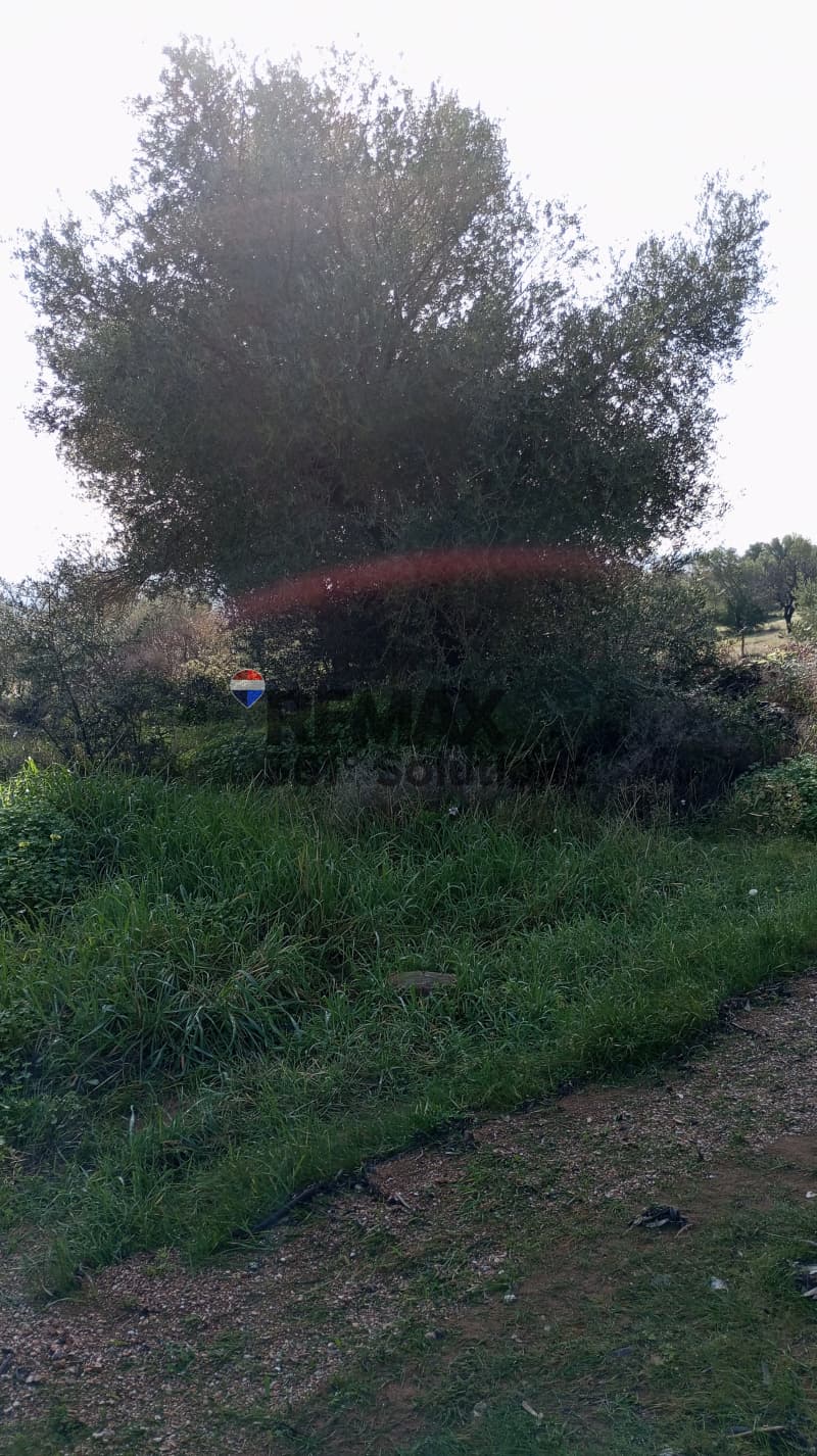 Αγροτεμάχιο στην Μουσείο Βορρέ, Παιανία — Φωτογραφία 1 από 6