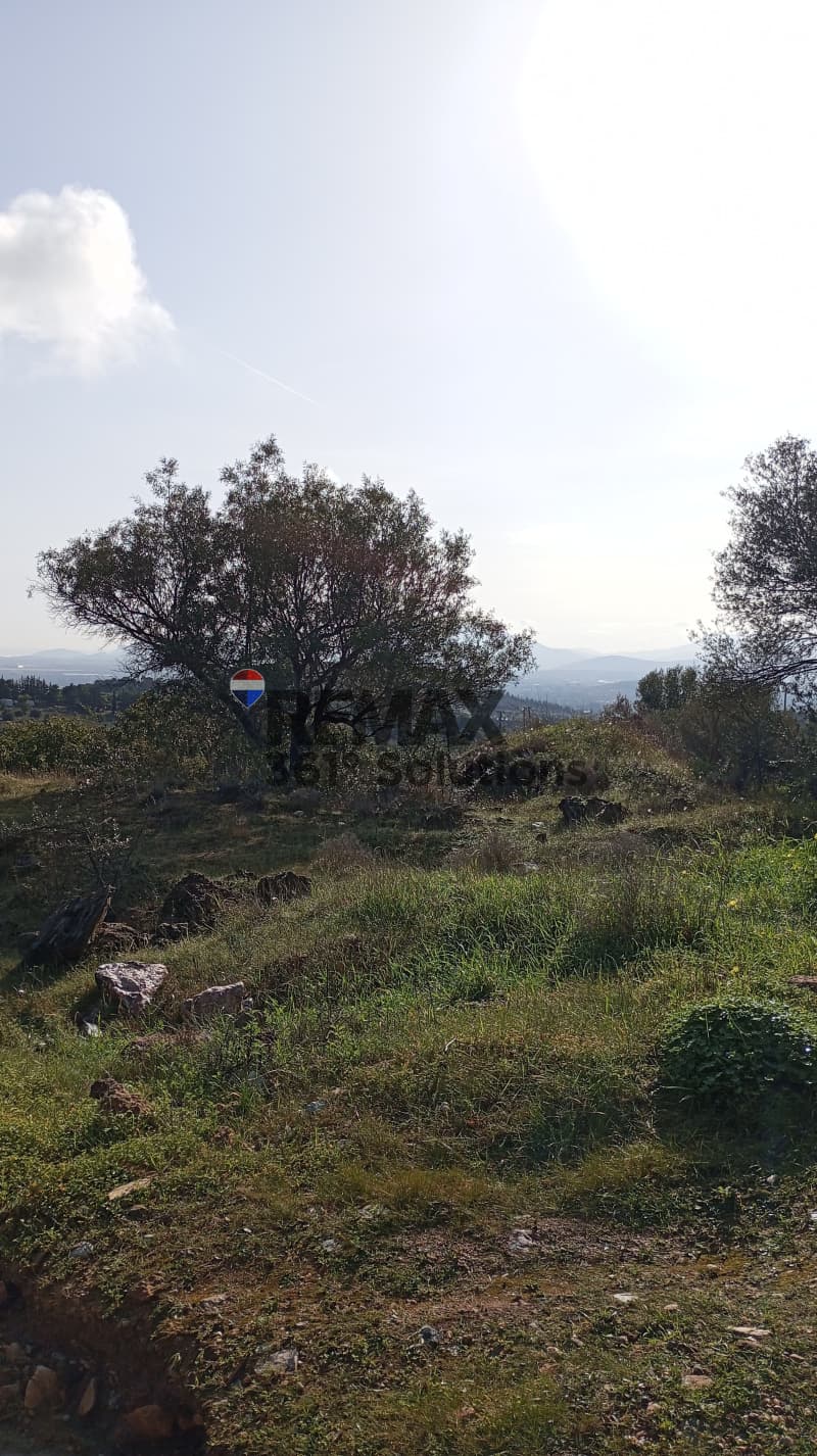Αγροτεμάχιο στην Μουσείο Βορρέ, Παιανία — Φωτογραφία 5 από 6
