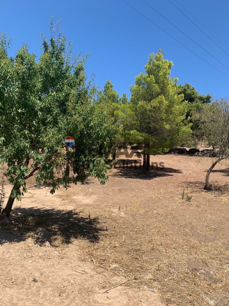 Οικόπεδο στην Καμάριζα, Λαύριο — Φωτογραφία 3 από 12