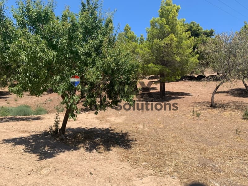 Οικόπεδο στην Καμάριζα, Λαύριο — Φωτογραφία 2 από 12