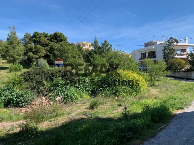 Οικόπεδο στην Καμάριζα, Λαύριο — Φωτογραφία 10 από 12