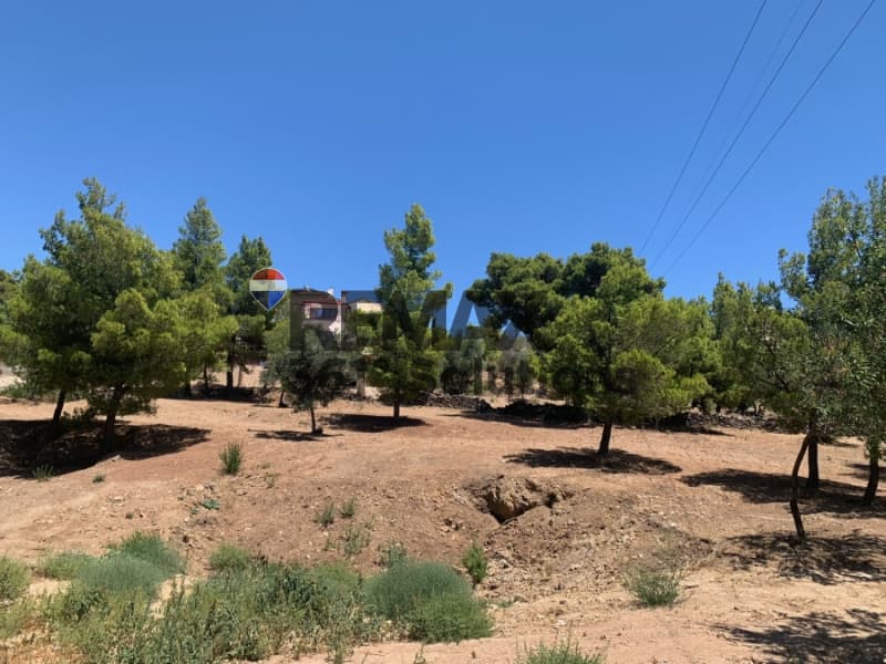 Οικόπεδο στην Καμάριζα, Λαύριο — Φωτογραφία 1 από 12