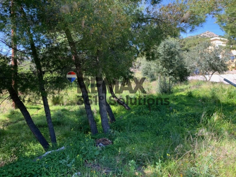 Οικόπεδο στην Καμάριζα, Λαύριο — Φωτογραφία 6 από 12