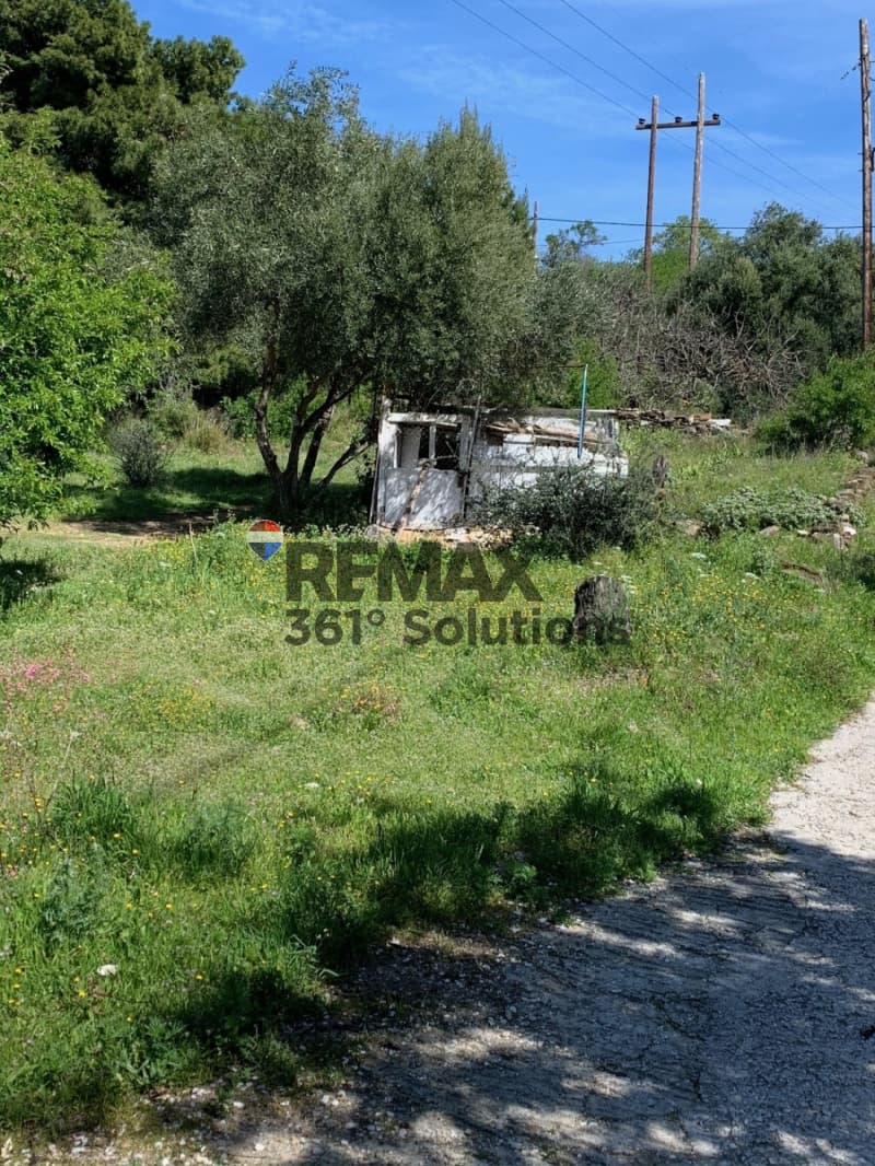 Οικόπεδο στην Καμάριζα, Λαύριο — Φωτογραφία 11 από 12