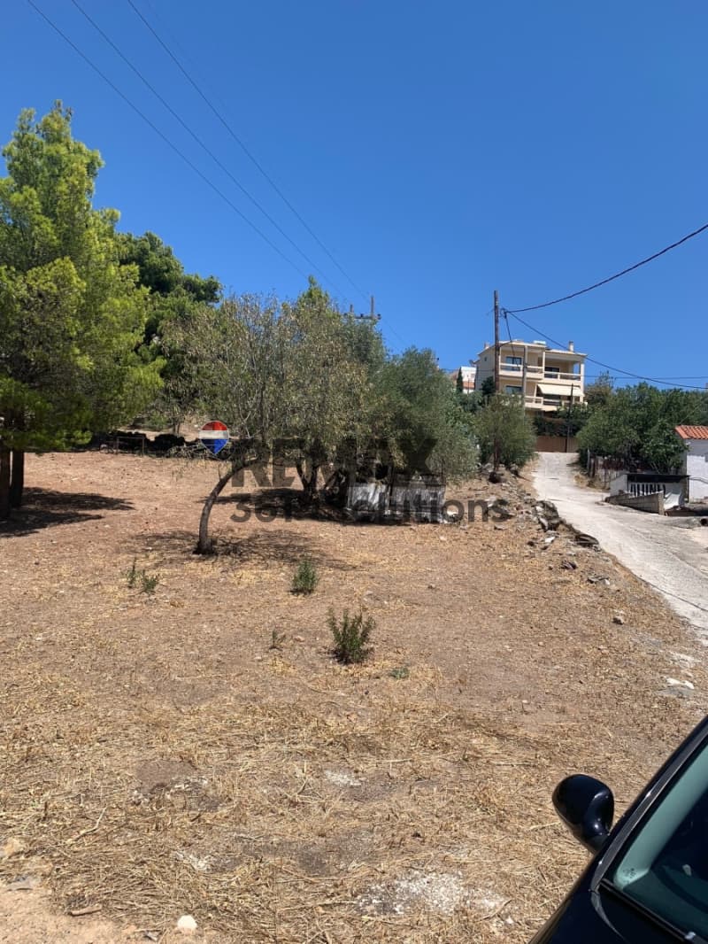 Οικόπεδο στην Καμάριζα, Λαύριο — Φωτογραφία 4 από 12