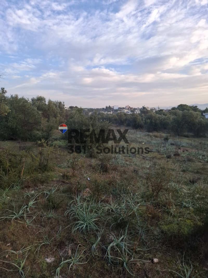 Αγροτεμάχιο στην Νεάπολη, Σπάτα — Φωτογραφία 1 από 5