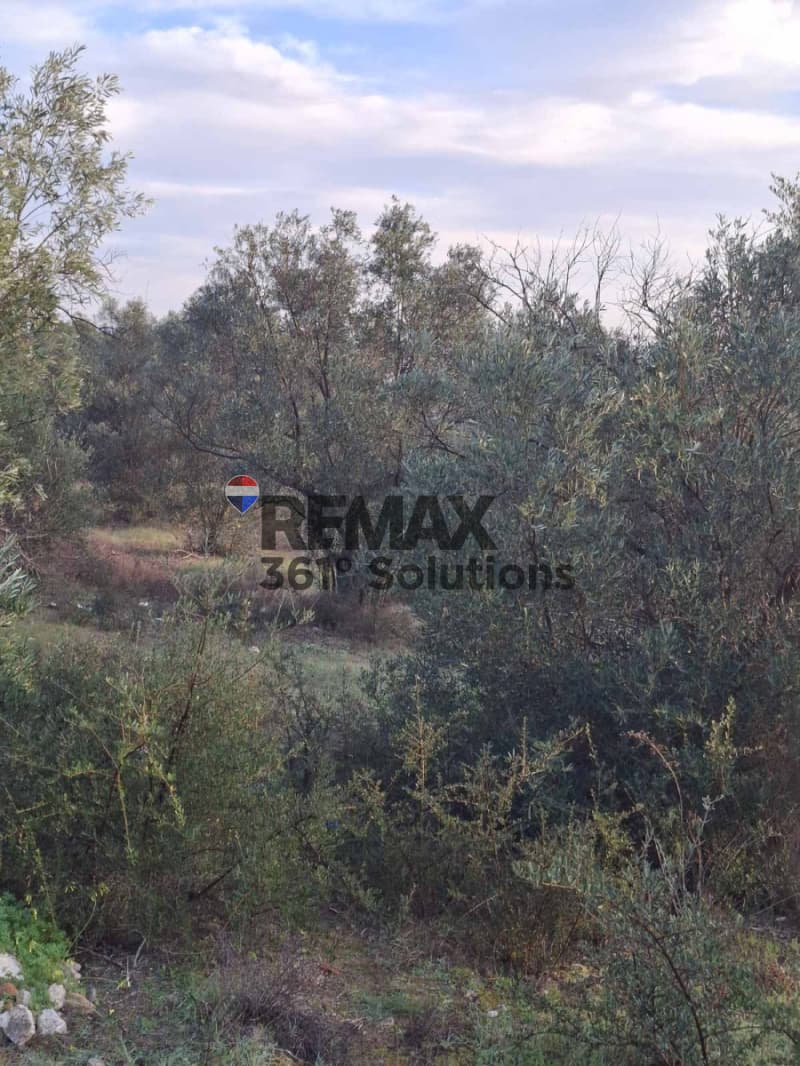 Αγροτεμάχιο στην Νεάπολη, Σπάτα — Φωτογραφία 5 από 5