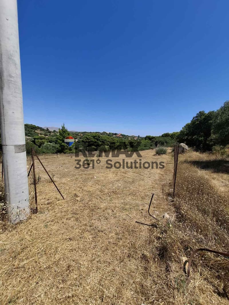 Αγροτεμάχιο στην Νεάπολη, Σπάτα — Φωτογραφία 6 από 6
