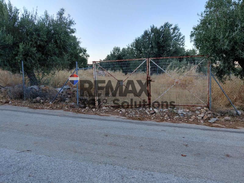 Parcel in Agia Triada, Paiania — Photo 5 of 5