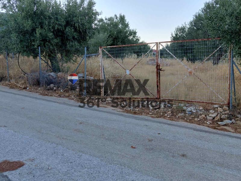 Parcel in Agia Triada, Paiania — Photo 4 of 5