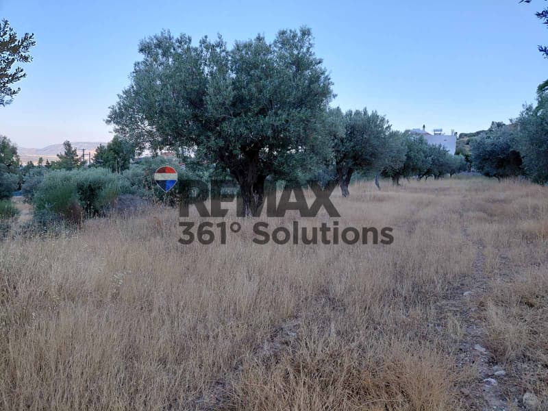 Parcel in Agia Triada, Paiania — Photo 2 of 5