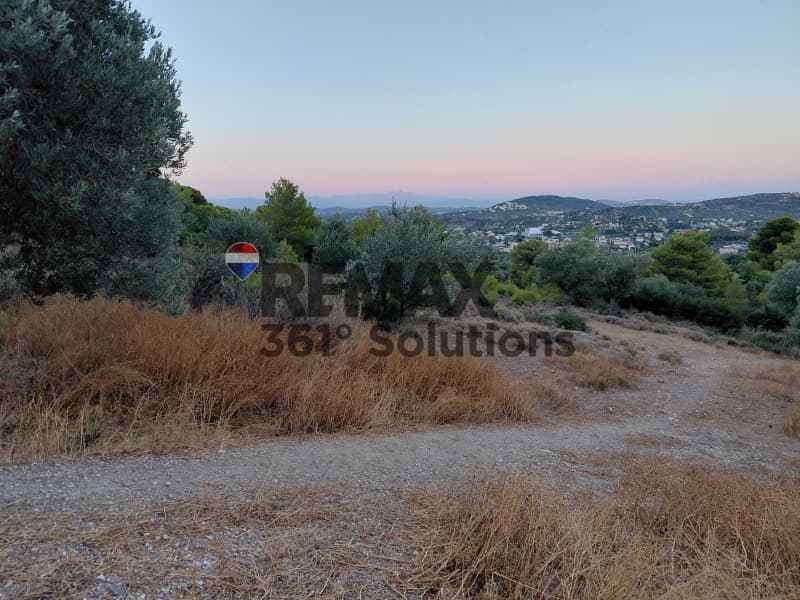 Αγροτεμάχιο στην Κέντρο, Γλυκά Νερά — Φωτογραφία 2 από 4