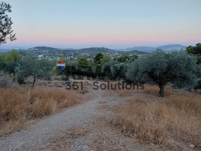 Αγροτεμάχιο στην Κέντρο, Γλυκά Νερά — Φωτογραφία 3 από 4