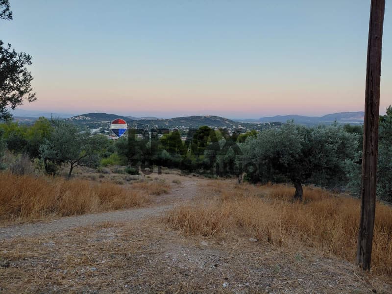 Αγροτεμάχιο στην Κέντρο, Γλυκά Νερά — Φωτογραφία 4 από 4