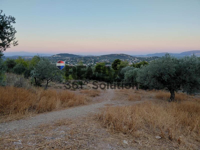 Αγροτεμάχιο στην Κέντρο, Γλυκά Νερά — Φωτογραφία 1 από 4