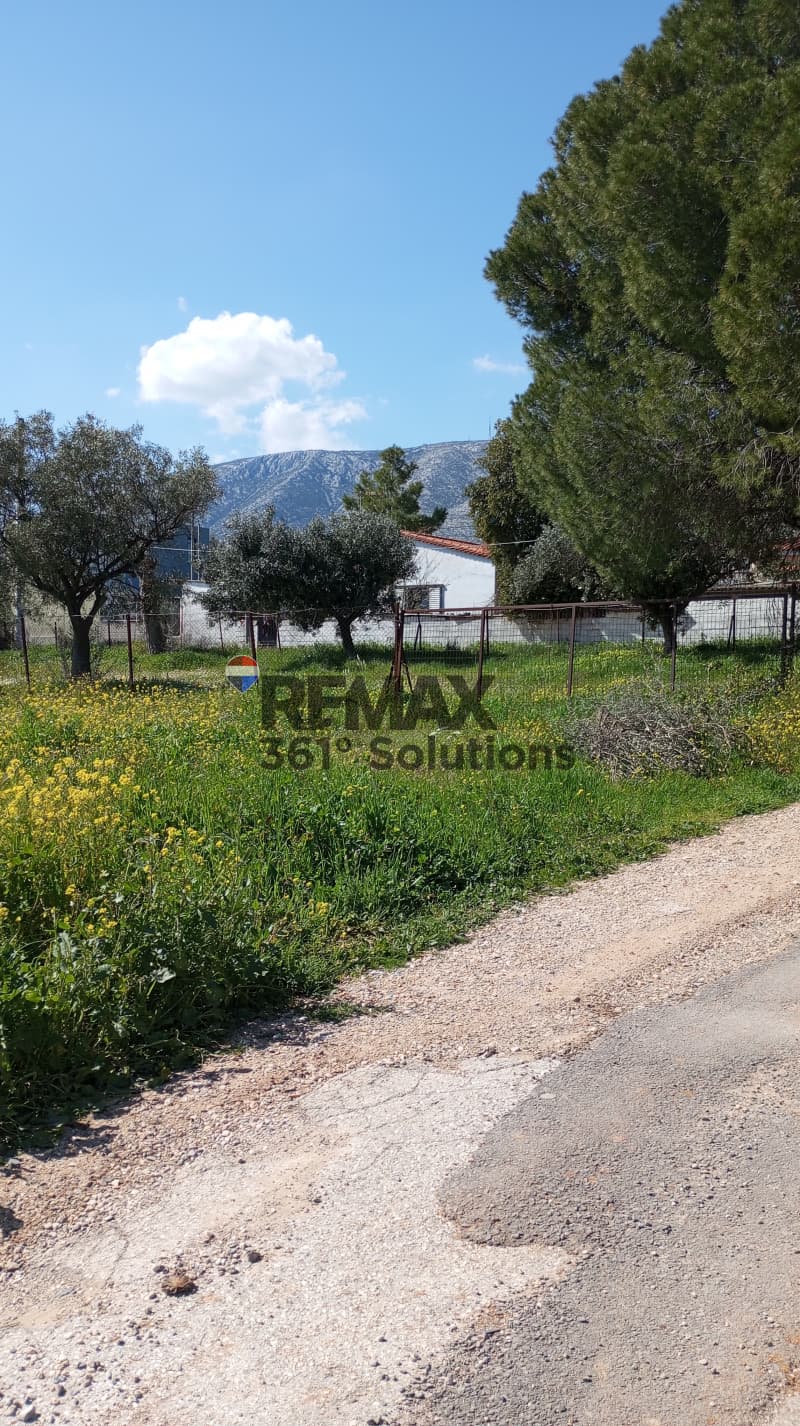 Οικόπεδο στην Άνω Μπαλάνα, Παλλήνη — Φωτογραφία 3 από 5