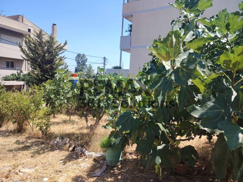 Οικόπεδο στην Φούρεσι, Γλυκά Νερά — Φωτογραφία 3 από 8