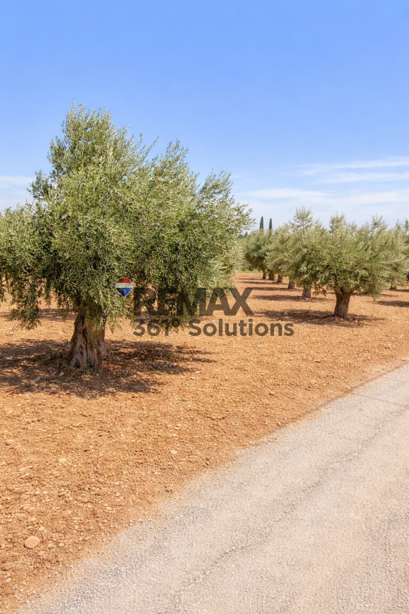 Οικόπεδο στην Μουσείο Βορρέ, Παιανία — Φωτογραφία 4 από 6