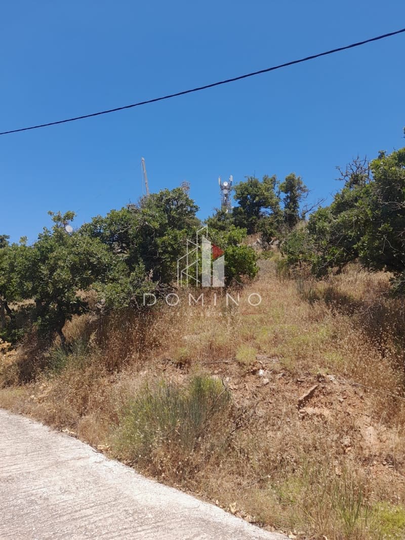 Αγροτεμάχιο στην Αστράς, Κέα — Φωτογραφία 4 από 6