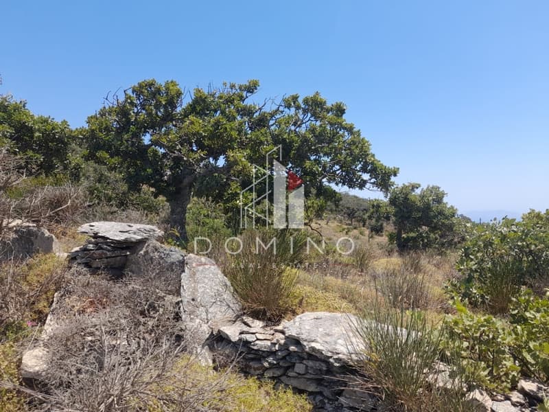 Αγροτεμάχιο στην Αστράς, Κέα — Φωτογραφία 6 από 6