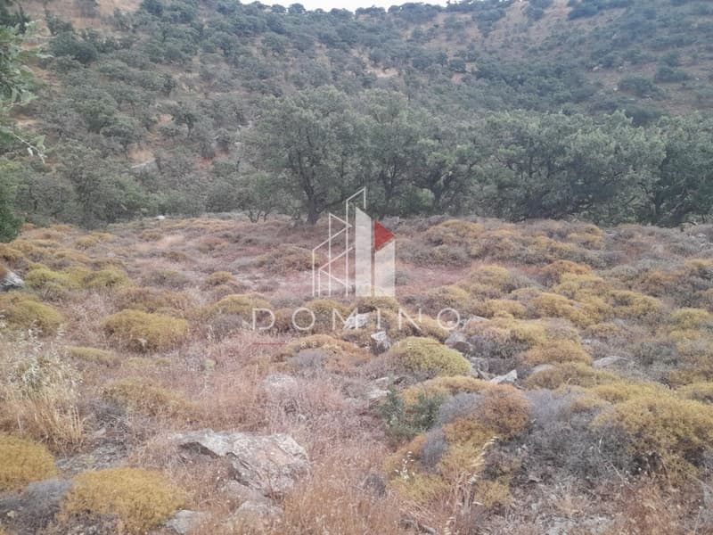 Αγροτεμάχιο στην Αγία Μαύρα, Κέα — Φωτογραφία 14 από 18