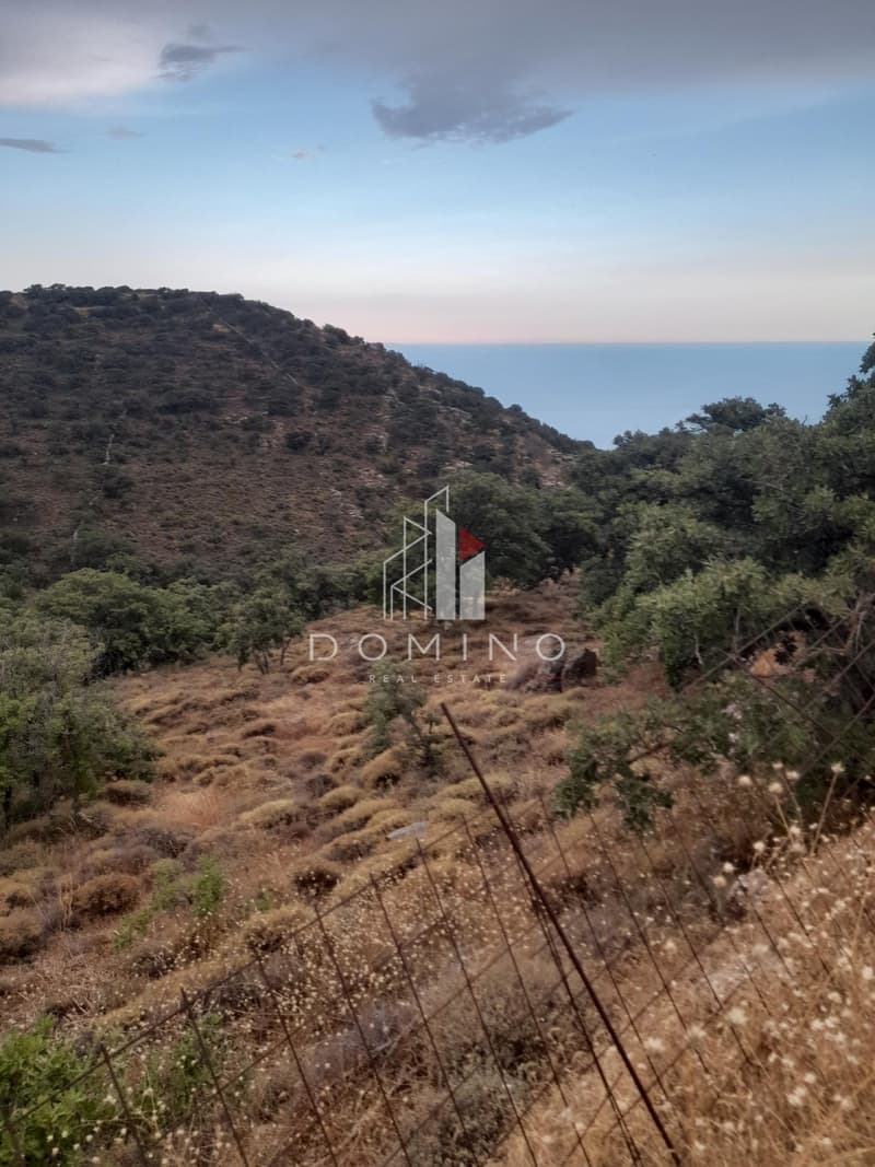 Αγροτεμάχιο στην Αγία Μαύρα, Κέα — Φωτογραφία 9 από 18