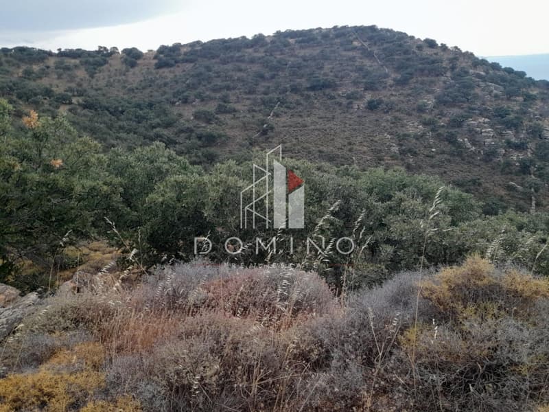 Αγροτεμάχιο στην Αγία Μαύρα, Κέα — Φωτογραφία 18 από 18