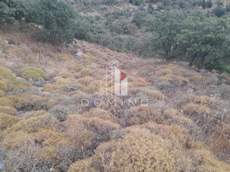 Αγροτεμάχιο στην Αγία Μαύρα, Κέα — Φωτογραφία 17 από 18