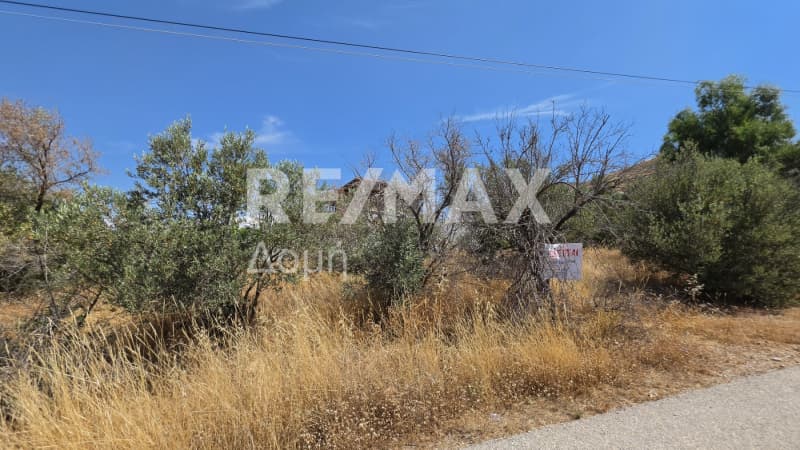 Parcel in Anavyssos Center, Anavissos — Photo 6 of 6