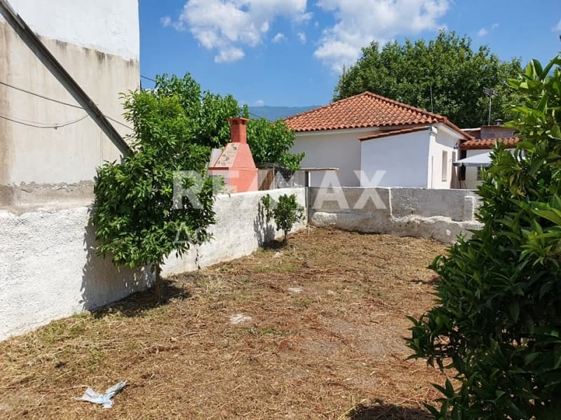 Κατάστημα στην Πλατανίδια, Αγριά — Φωτογραφία 17 από 20