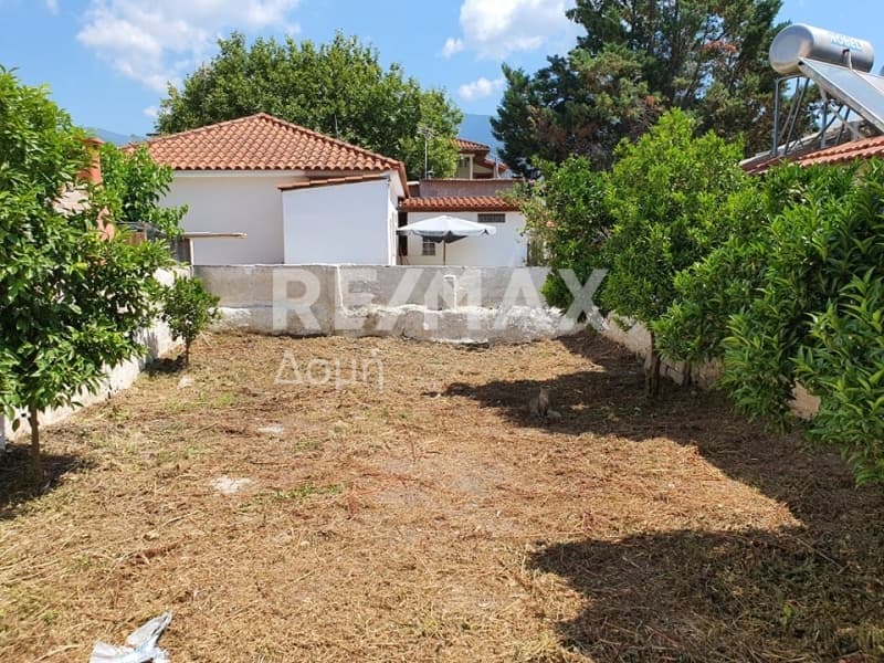 Κατάστημα στην Πλατανίδια, Αγριά — Φωτογραφία 16 από 20