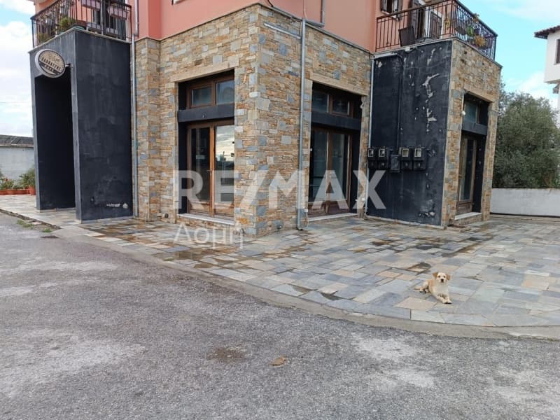 Κατάστημα στην Άνω Λεχώνια, Αγριά — Φωτογραφία 6 από 20