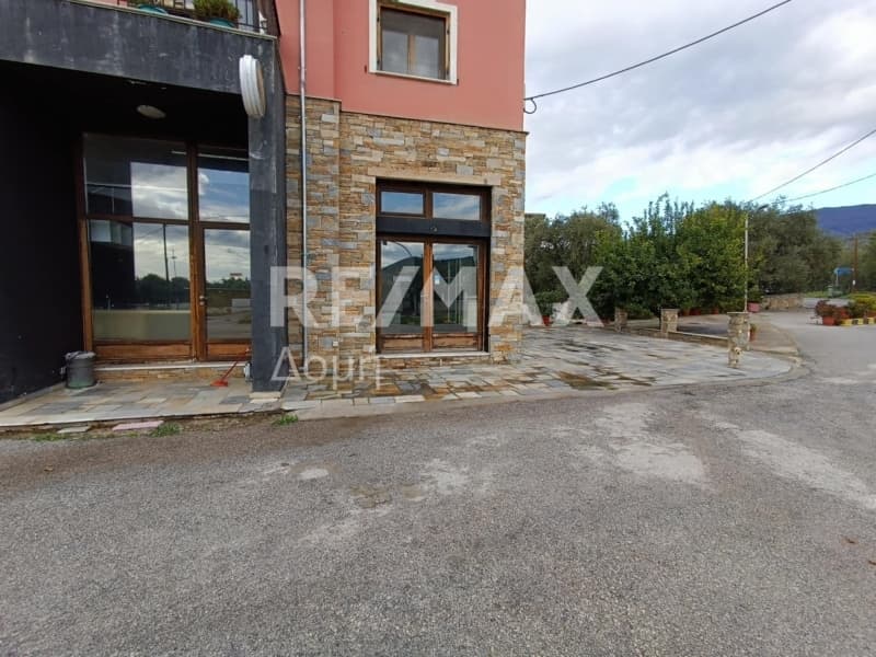 Κατάστημα στην Άνω Λεχώνια, Αγριά — Φωτογραφία 4 από 20