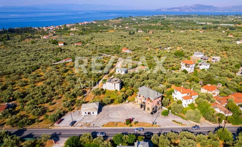 Κατάστημα στην Άνω Λεχώνια, Αγριά — Φωτογραφία 5 από 20