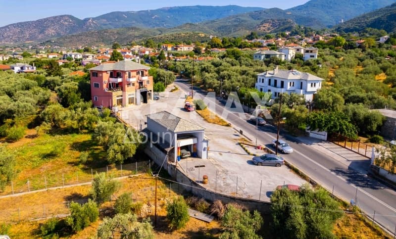Κατάστημα στην Άνω Λεχώνια, Αγριά — Φωτογραφία 8 από 17