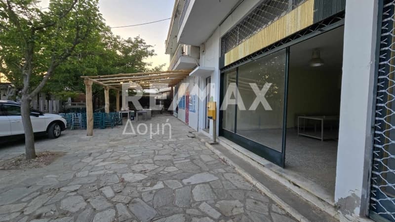 Retail Store in Center, Milies — Photo 15 of 27