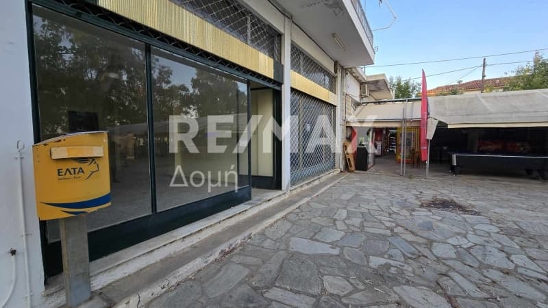 Retail Store in Center, Milies — Photo 1 of 27