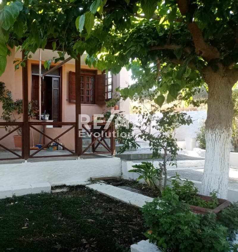 Μονοκατοικία στην Αγία Τριάδα, Μαρκόπουλο — Φωτογραφία 4 από 7