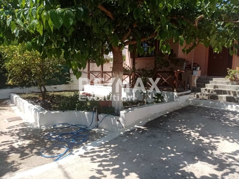 Μονοκατοικία στην Αγία Τριάδα, Μαρκόπουλο — Φωτογραφία 2 από 7