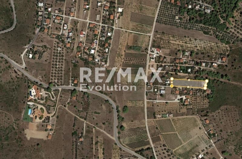 Parcel in Sinterina, Anavissos — Photo 2 of 6