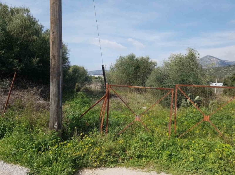 Οικόπεδο στην Λαμπρικά, Κορωπί — Φωτογραφία 2 από 2