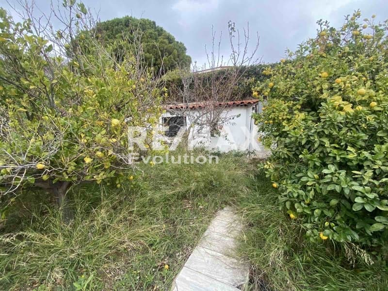 House in Mavro Lithari, Saronida — Photo 10 of 14