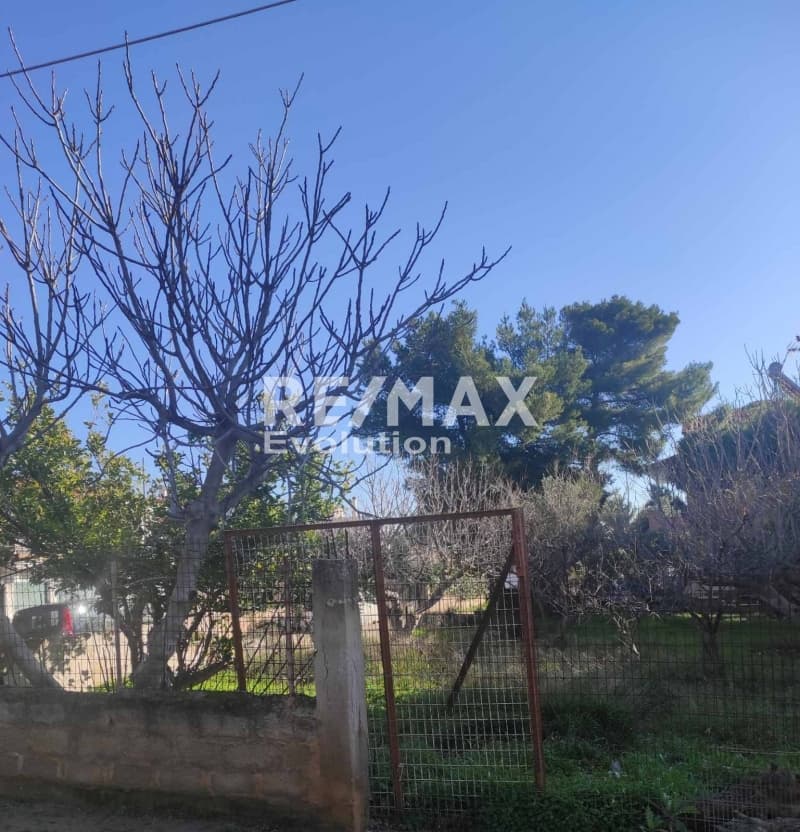 Οικόπεδο στην Άγιος Σεραφείμ, Αρτέμιδα (Λούτσα) — Φωτογραφία 2 από 3