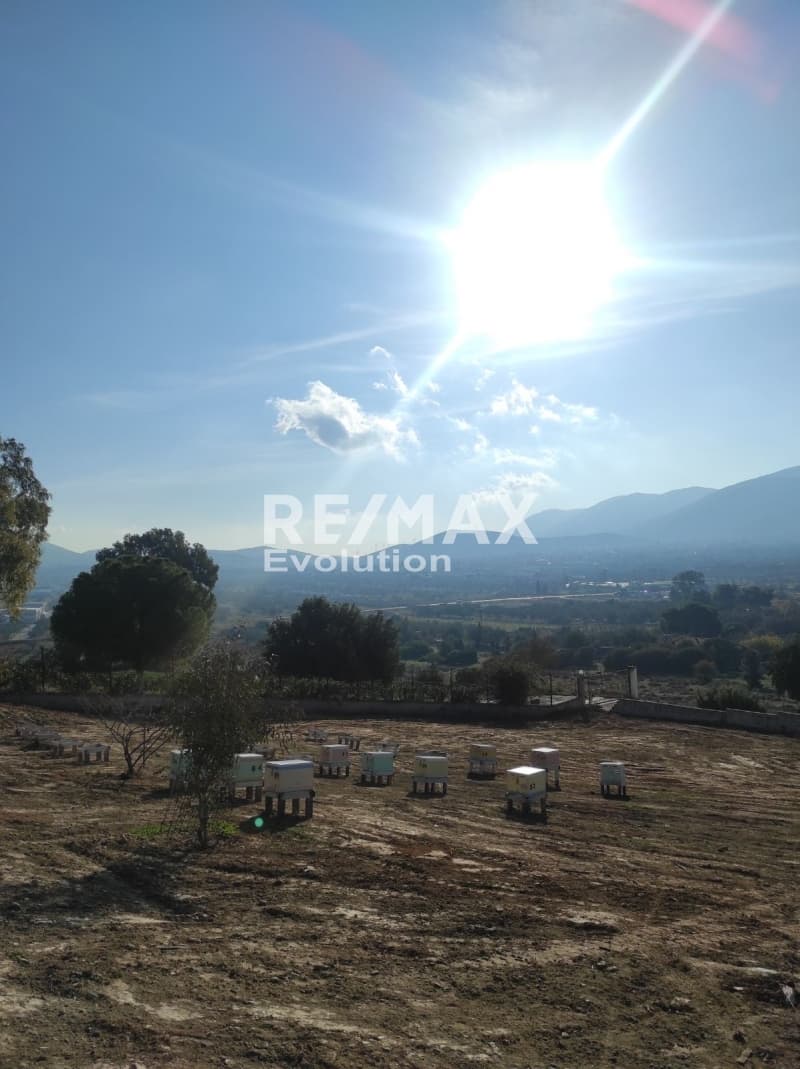 Μονοκατοικία στην Κεφλαίικα, Καλύβια Θορικού — Φωτογραφία 5 από 10
